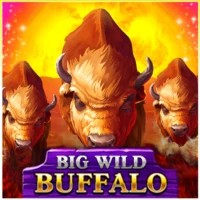 Big Wild Buffalo slot logo by Belatra Games at Betorange CasinoBig Wild Buffalo